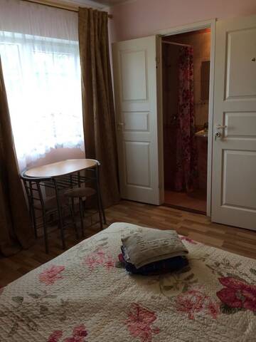 Фото номера Бюджетный двухместный номер с 1 кроватью Гостевой дом Lana House г. Пярну 4