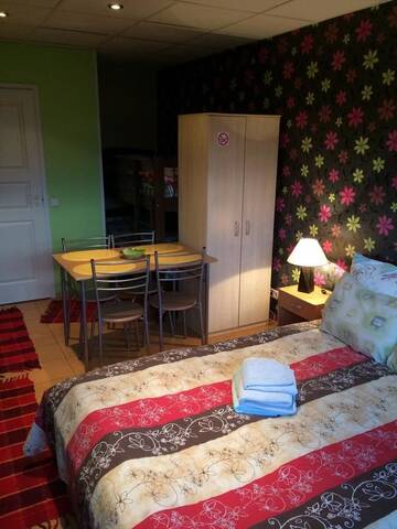 Фото номера Номер-студио с видом на сад Гостевой дом Lana House г. Пярну 5