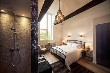 Фото номера Двухместный номер Делюкс с 1 кроватью Отель Frost Boutique Hotel г. Пярну 3