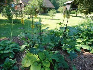 Фото Шале Markna Holiday Homes г. Пярну 3